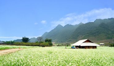 MỘC CHÂU HÀNH TRÌNH KHÁM PHÁ NHỮNG MÙA HOA – 2 NGÀY 1 ĐÊM