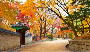 TOUR DU LỊCH HÀN QUỐC TRỌN GÓI – HÀ NỘI – SEOUL – NAMI – EVERLAND 5 NGÀY 4 ĐÊM BAY VIETJET AIR