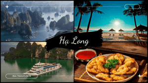 Cẩm Nang du lịch Hạ Long
