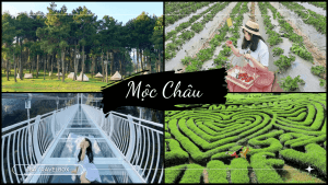 Mộc Châu